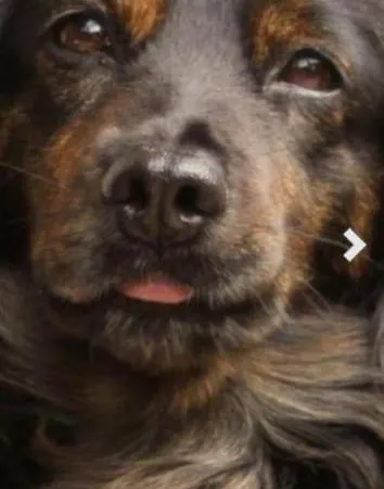 Casa Maria Weingarten (Wuerttemberg)