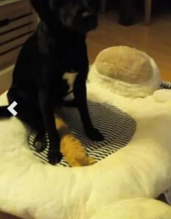 Casa Maria Apartamento Weingarten (Wuerttemberg)