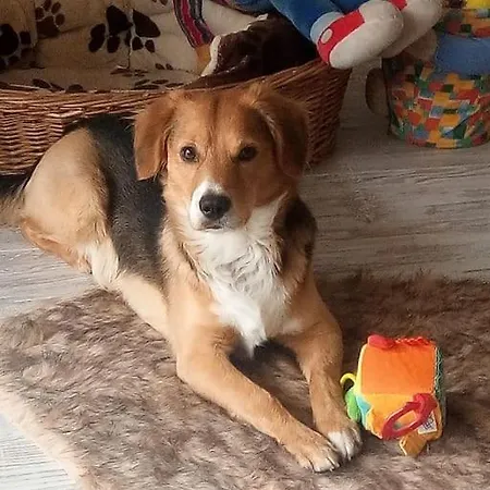 Casa Maria Weingarten (Wuerttemberg)